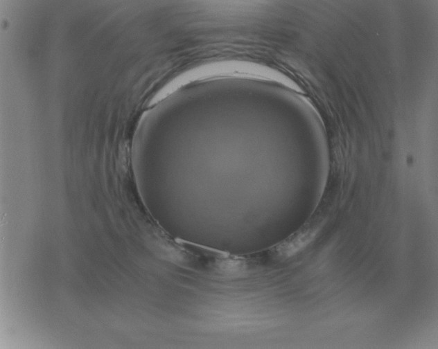 X0000075860325200610061943