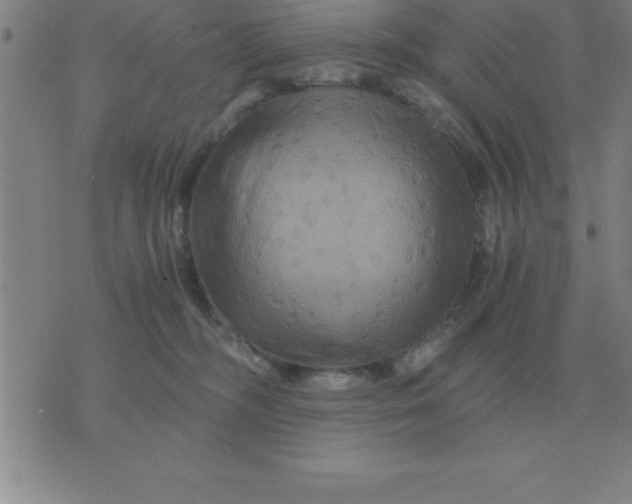 X0000075860326200610061943