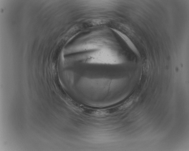 X0000075860327200610061943