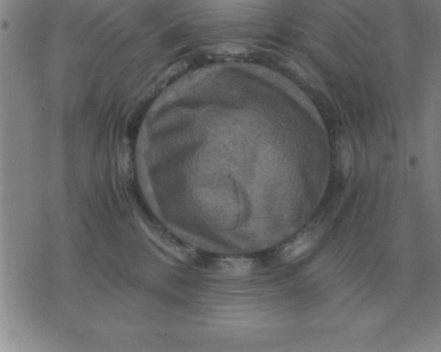 X0000075860328200610061943