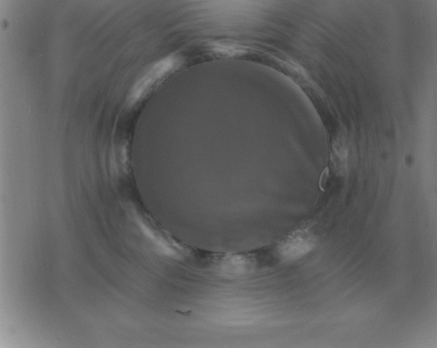 X0000075860330200610061943