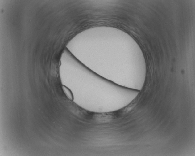 X0000075860331200610061943