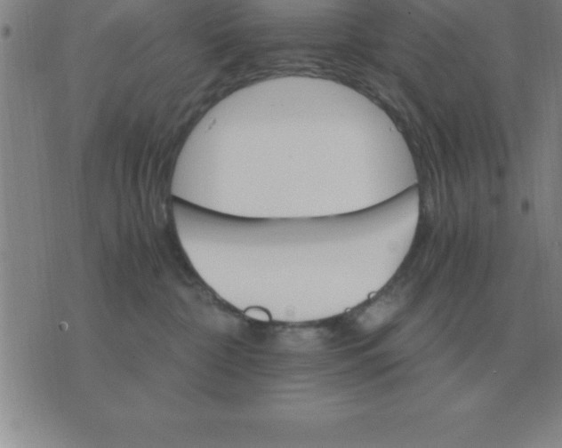 X0000075860332200610061943