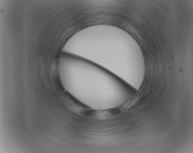 X0000075860333200610061943