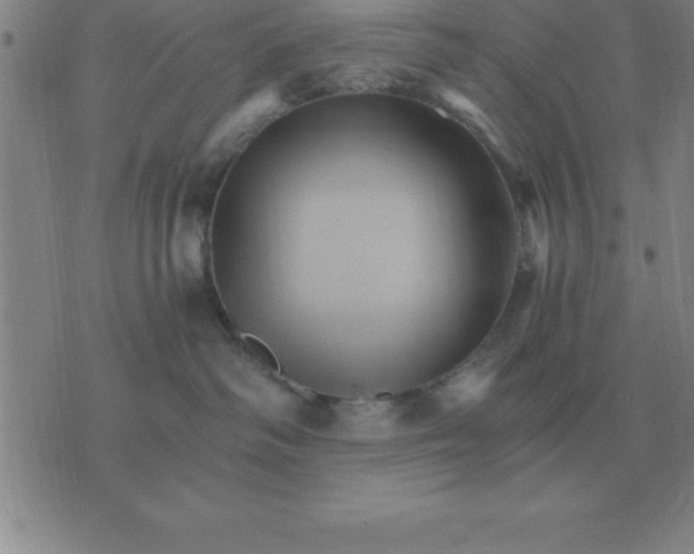 X0000075860334200610061943