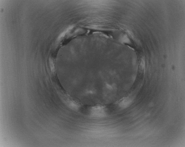 X0000075860335200610061943