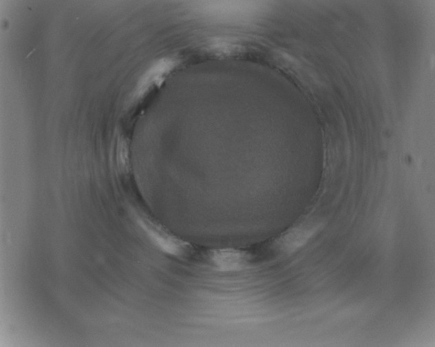 X0000075860336200610061943