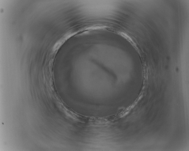 X0000075860337200610061942