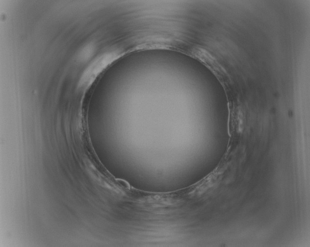 X0000075860338200610061942