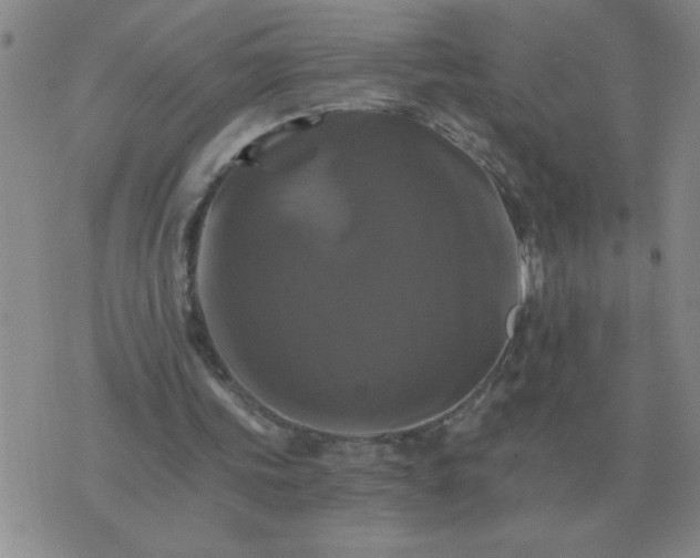 X0000075860339200610061942