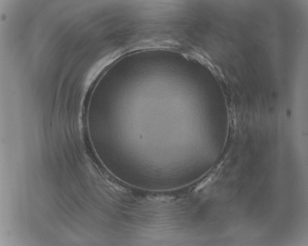 X0000075860340200610061942