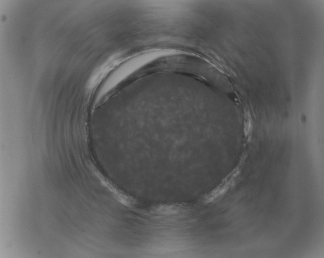 X0000075860341200610061942