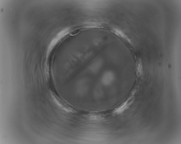 X0000075860343200610061942