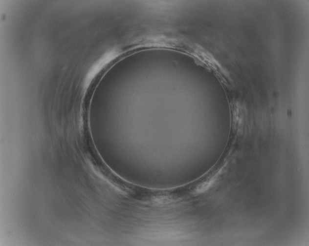 X0000075860344200610061943