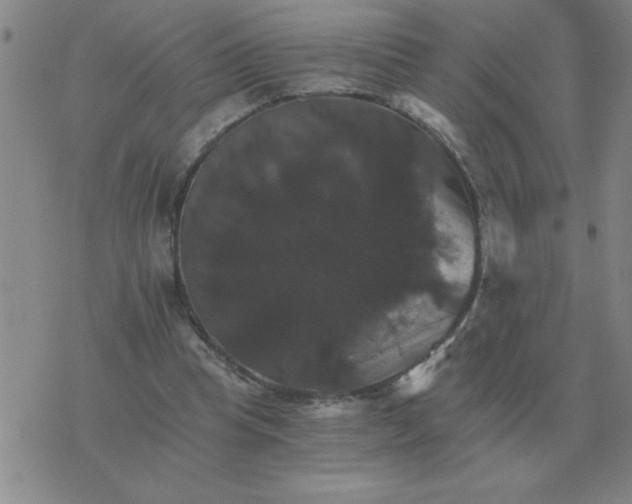 X0000075860345200610061943