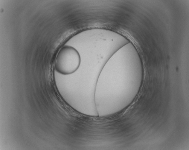 X0000075860346200610061943