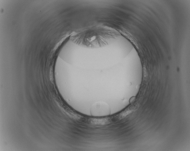 X0000075860347200610061943