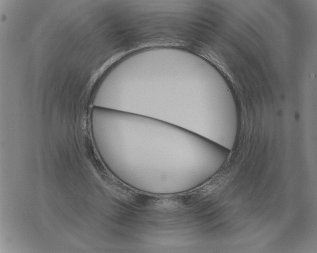 X0000075860348200610061943