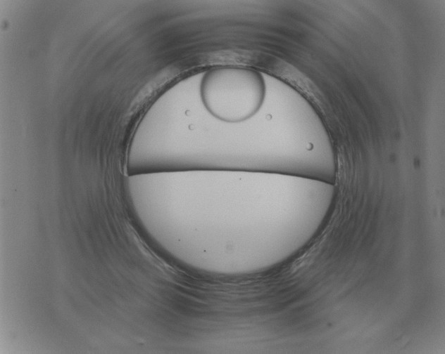 X0000075860349200610061943