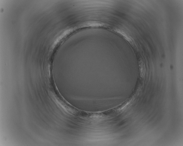 X0000075860350200610061943