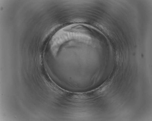 X0000075860351200610061943