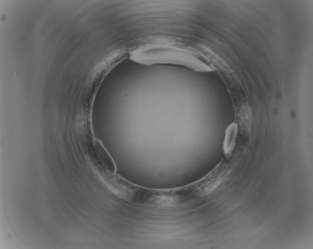 X0000075860352200610061943