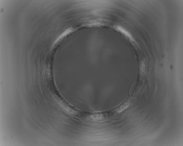 X0000075860353200610061943