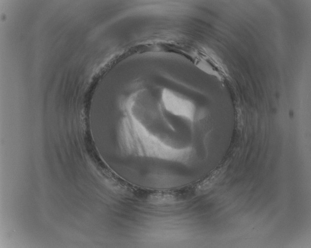 X0000075860354200610061943