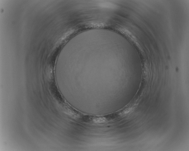 X0000075860355200610061943