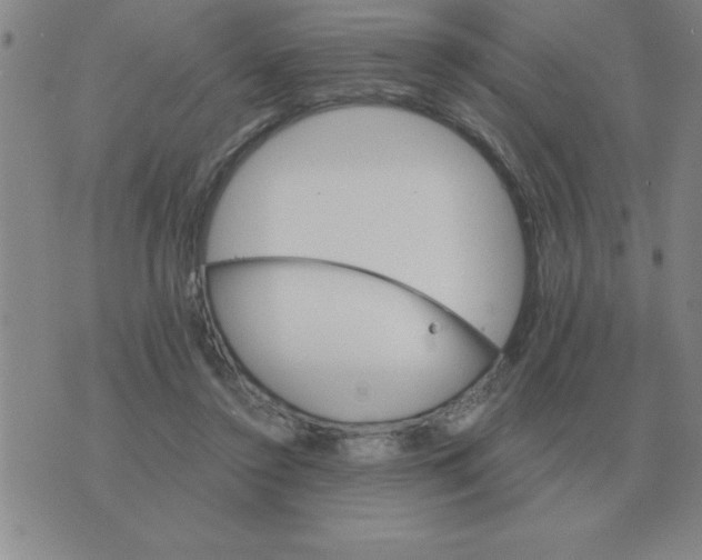 X0000075860356200610061943