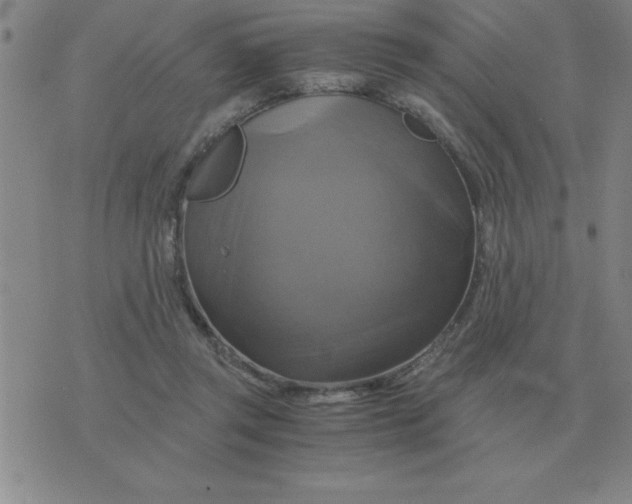 X0000075860357200610061943