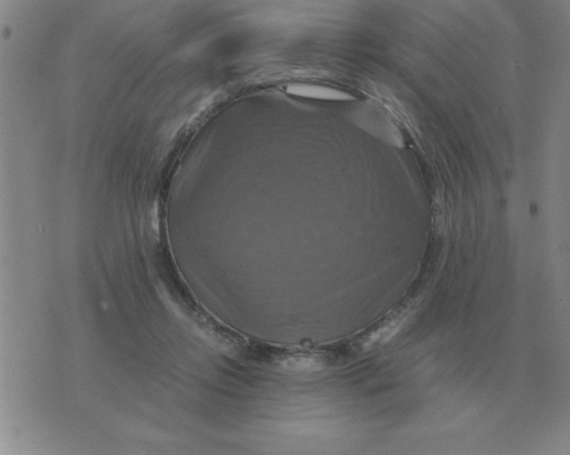 X0000075860358200610061943