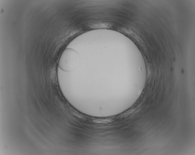 X0000075860359200610061943