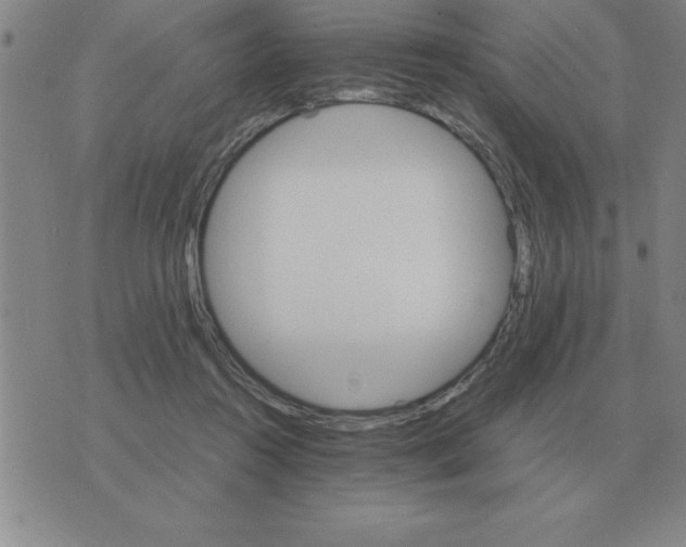 X0000075860360200610061943