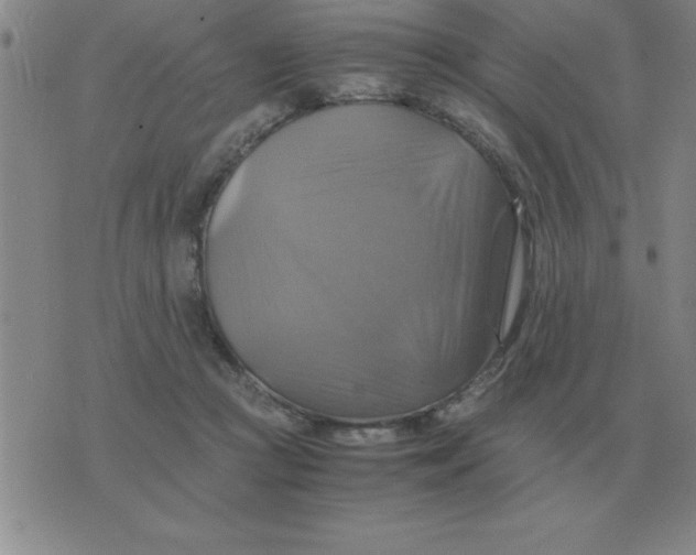 X0000075860361200610061943