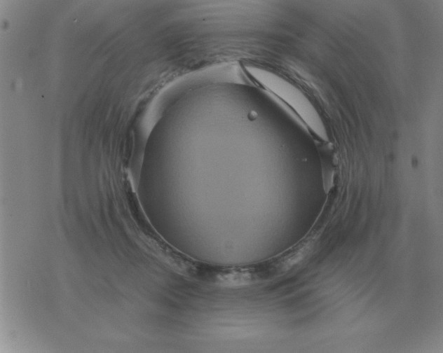 X0000075860362200610061943