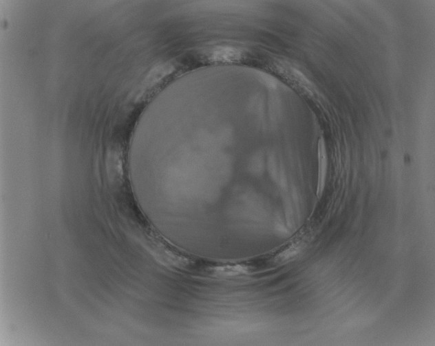 X0000075860363200610061943