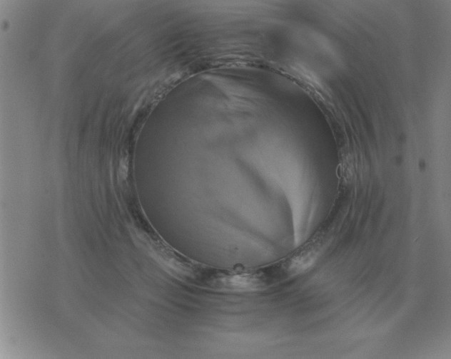 X0000075860365200610061943