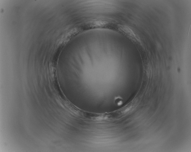 X0000075860366200610061943