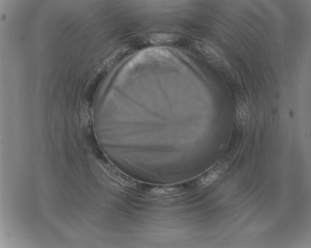 X0000075860367200610061943