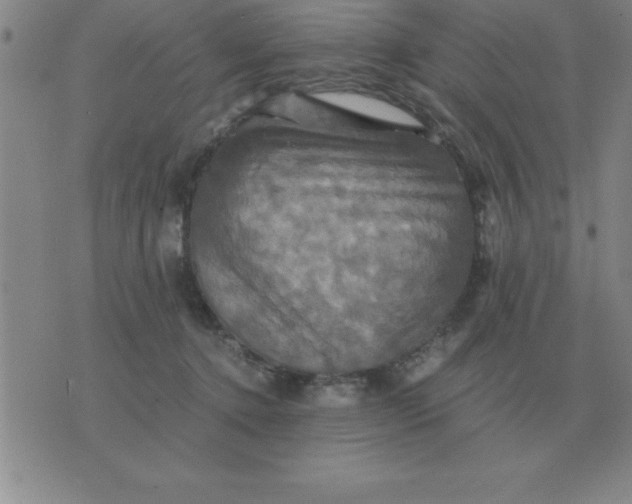 X0000075860368200610061943