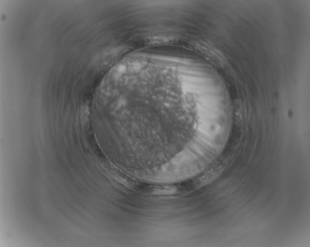 X0000075860369200610061943