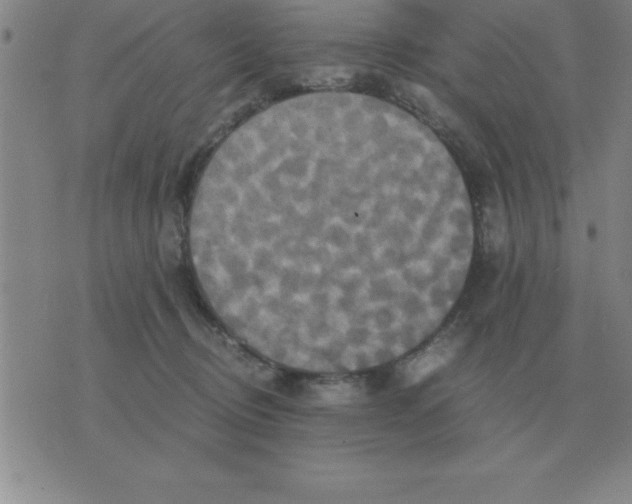 X0000075860370200610061943