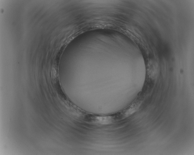 X0000075860371200610061943