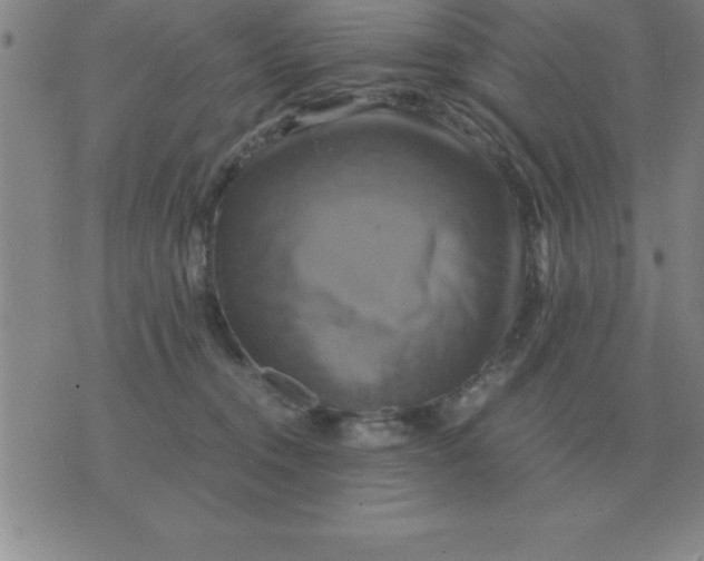 X0000075860372200610061943