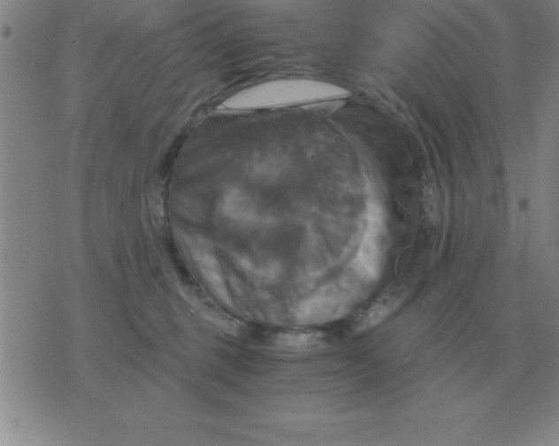 X0000075860375200610061943