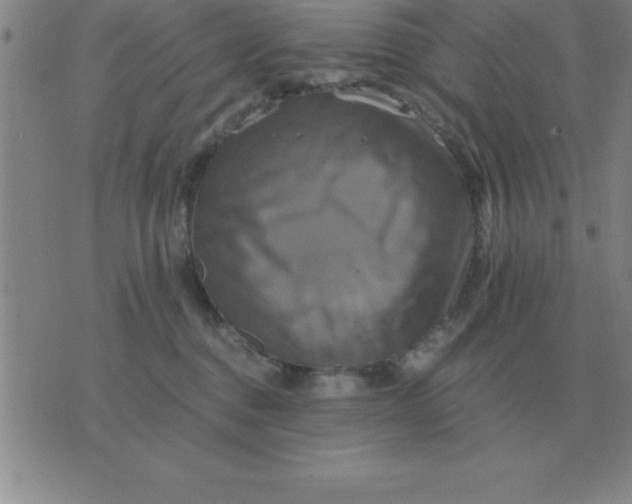 X0000075860376200610061943