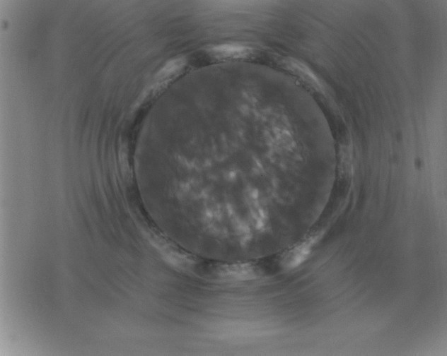 X0000075860377200610061943