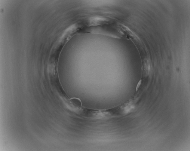 X0000075860379200610061943