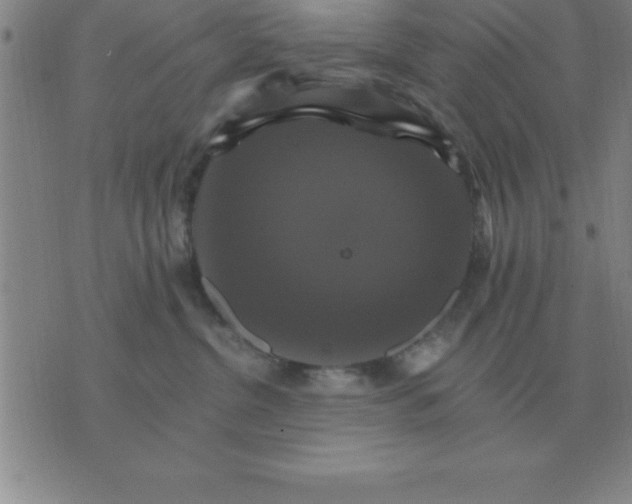 X0000075860380200610061943